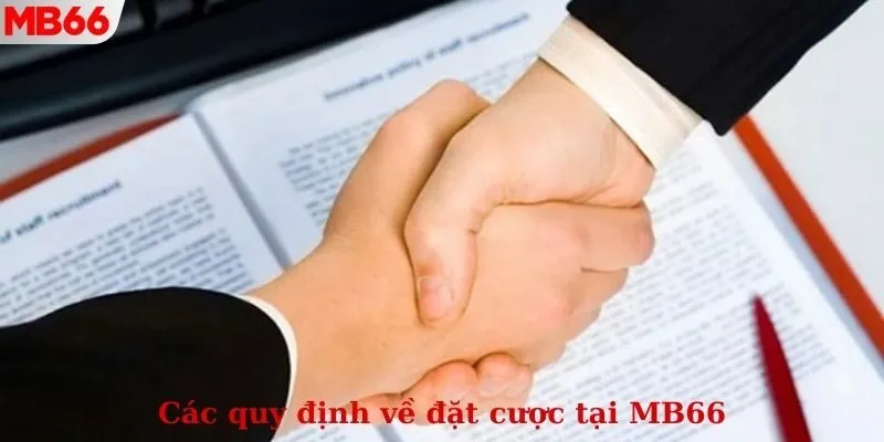 Điều khoản điều kiện MB66 về đặt cược vào các dòng game